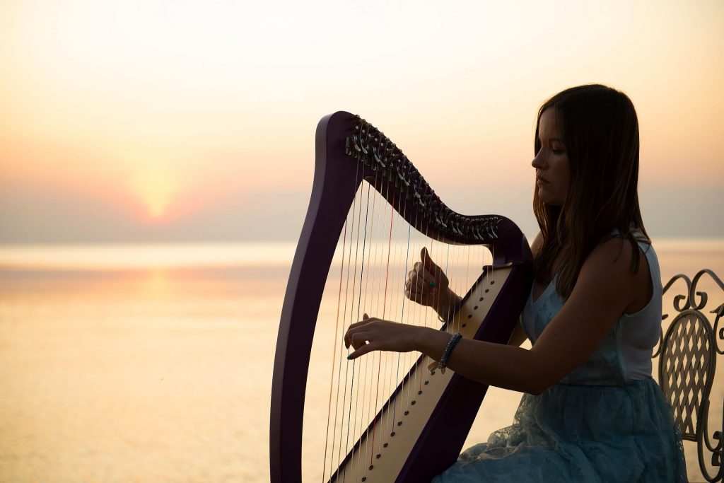 bruiloft harpist (e), harpiste